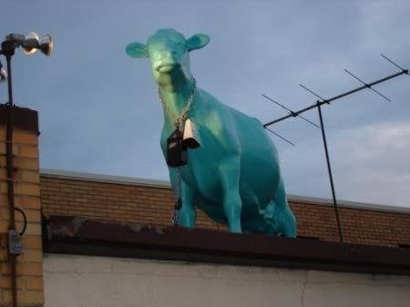 Sherman's of South Haven by null