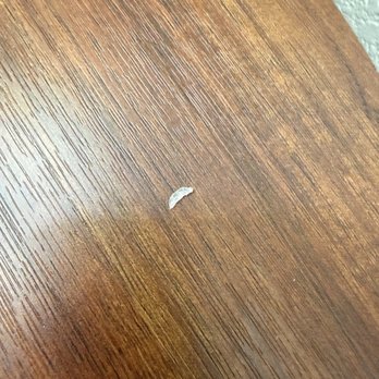 Hilton Garden Inn Pigeon Forge - Somebody's toenail clipping - Hotels Near Me - Pigeon Forge, Tennessee Hilton Garden Inn Pigeon Forge - Somebody's toenail clipping - Hotels Near Me - Pigeon Forge, Tennessee