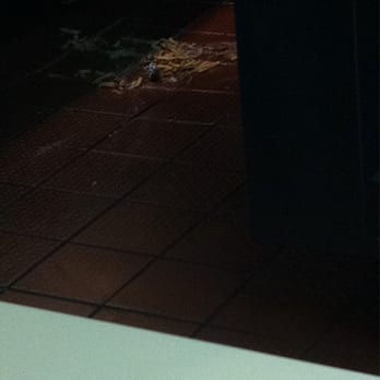 Wendy's - This might explain the fly problem - Fast Food Near Me - Lost Hills, California
