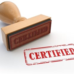 You Need A Vacation Now - Certified and Trusted Travel Advisor