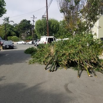 J Rojas Tree Services - undefined - Tree Services Near Me