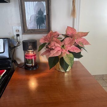 The Flower Shop - Logan - Gee, $50 really. - Florists Near Me - Logan, Utah The Flower Shop - Logan - Gee, $50 really. - Florists Near Me - Logan, Utah
