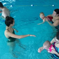 Diver Dan's Scuba & Aquatic Center