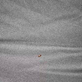 Lookout Lodge - BedBug! - Hotels Near Me - Eureka Springs, Arkansas Lookout Lodge - BedBug! - Hotels Near Me - Eureka Springs, Arkansas