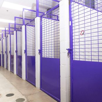 Cosmic Canine - Pet Training Near Me - Plano, Texas Cosmic Canine - Pet Training Near Me - Plano, Texas