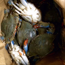 H & J Seafood - Best Blue Crab we have got from a seafood place in awhile.