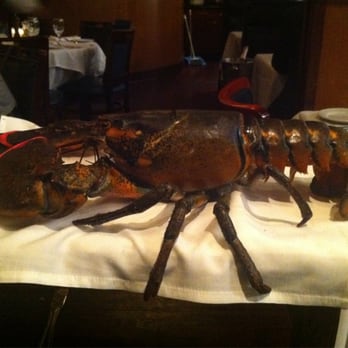 Atlantic Fish - Seafood Near Me - Boston, Massachusetts Atlantic Fish - Seafood Near Me - Boston, Massachusetts
