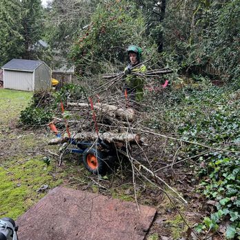 ClearTree - Hauling away debris and dead branches - Tree Services Near Me - Kingston, Washington