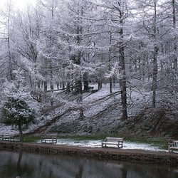 Forge Dam - Snow at Forge Dam, 2008.