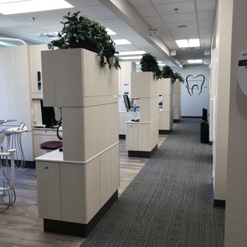 Todd L Johnson, DDS - First Class Dental - General Dentistry Near Me - Orangevale, California Todd L Johnson, DDS - First Class Dental - General Dentistry Near Me - Orangevale, California