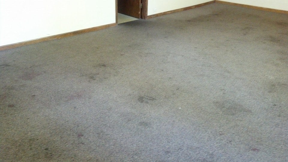 LARRY BOEREMA’S CARPET & UPHOLSTERY CLEANING Updated August 2024 Request a Quote Joliet