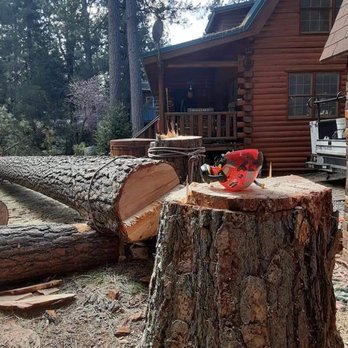 Wheatly Ryan - Missed the house - Tree Services Near Me