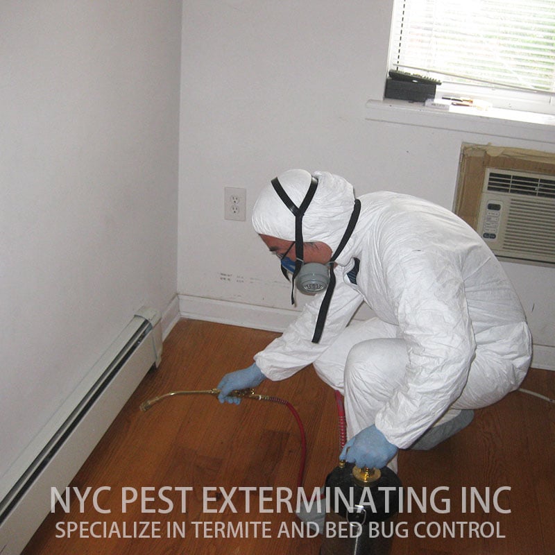 NYC PEST EXTERMINATING 18 Adler Pl, Brooklyn, New York Pest Control