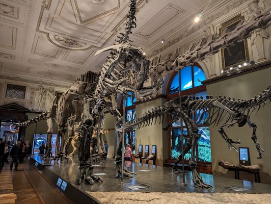 Museum of Natural History Vienna by null