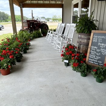 Griffins Farm Market - Bakeries Near Me - Washington, North Carolina Griffins Farm Market - Bakeries Near Me - Washington, North Carolina