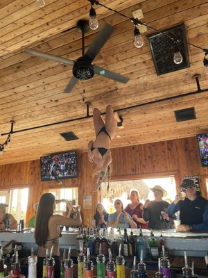 Undertow Beach Bar by null
