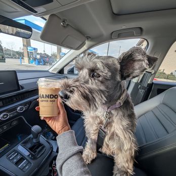 Hando Coffee Bar - Coffee & Tea Near Me - Manvel, Texas