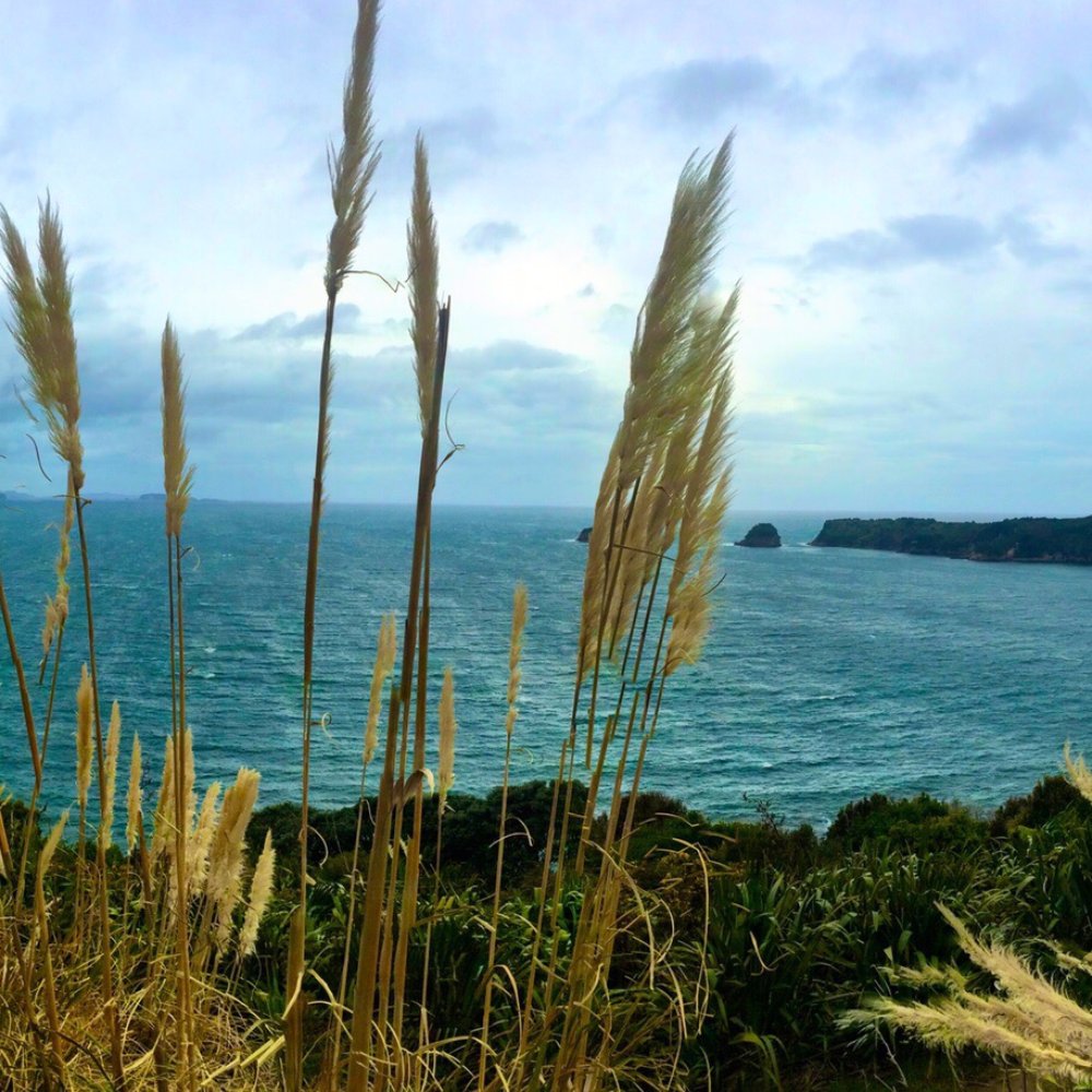 Cathedral Cove - Landmarks & Historical Buildings Near Me