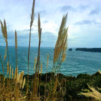 Cathedral Cove - Landmarks & Historical Buildings Near Me