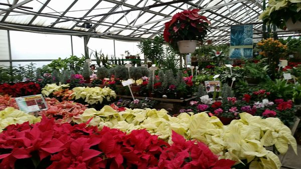 Shannon Heights Columbus Oh Neighborhood Guide Trulia