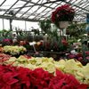 Strader's Garden Centers gift card