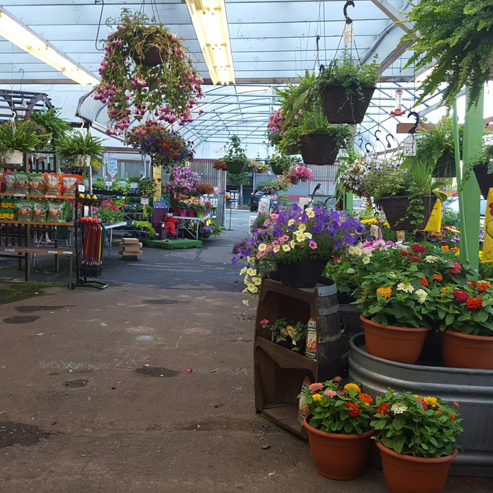 Yakima Fruit Market & Nursery - Gorgeous flowers - Fruits & Veggies Near Me - Bothell, Washington Yakima Fruit Market & Nursery - Gorgeous flowers - Fruits & Veggies Near Me - Bothell, Washington