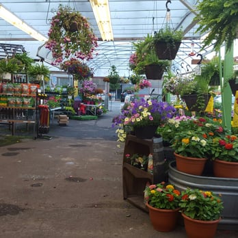 Yakima Fruit Market & Nursery - Gorgeous flowers - Fruits & Veggies Near Me - Bothell, Washington Yakima Fruit Market & Nursery - Gorgeous flowers - Fruits & Veggies Near Me - Bothell, Washington