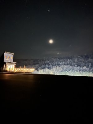 Canary Grill by null