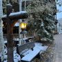 Ritz Carlton Club At Bachlor Gulch