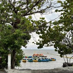 Puerto Rico Access Eco Tours