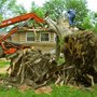 Photo of Gray's Tree Service