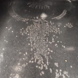 BSH Home Appliance - Manufacturer's defect - bottom of high end Thermador range. The pitting started within three months of purchase.