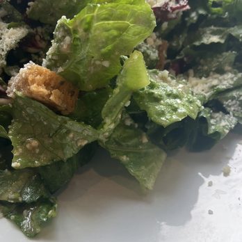 The Bread & Board - Cesar salad - Sandwiches Near Me - Jacksonville, Florida The Bread & Board - Cesar salad - Sandwiches Near Me - Jacksonville, Florida