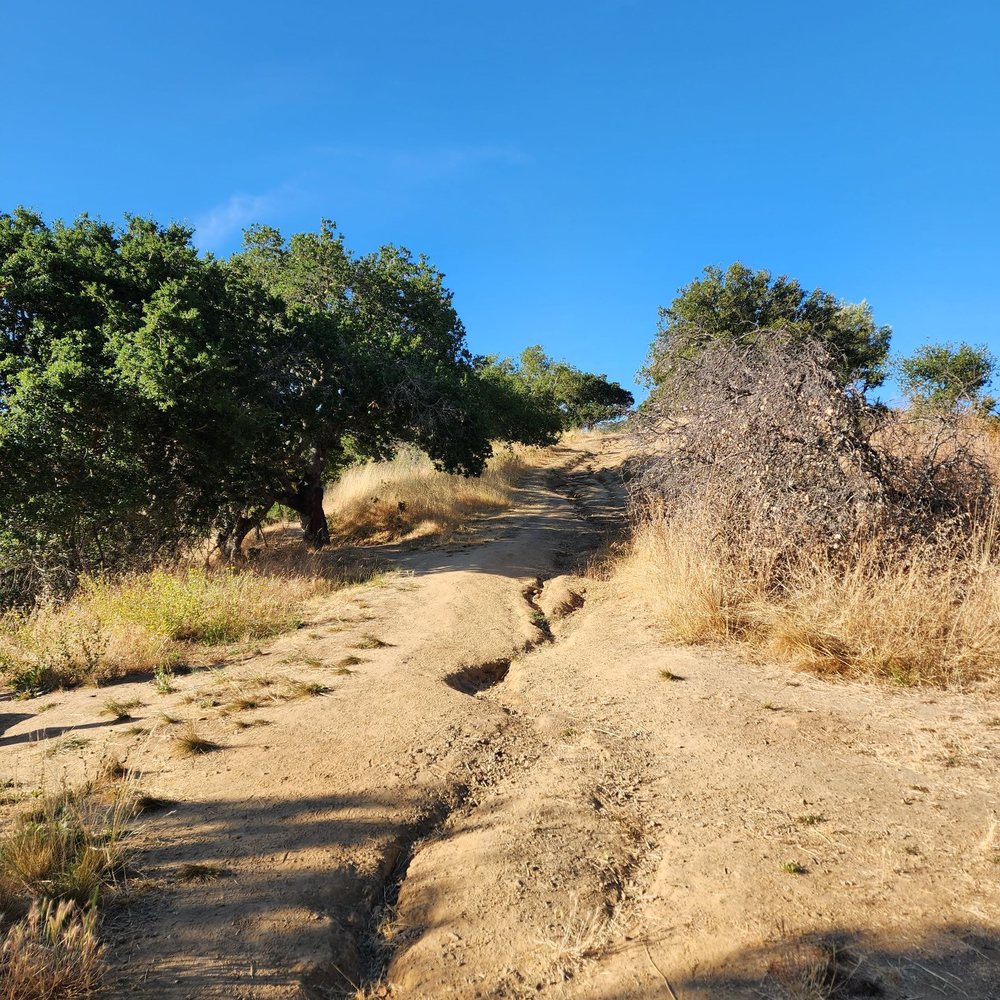 Eaton Park - Parks Near Me - San Carlos, California Eaton Park - Parks Near Me - San Carlos, California