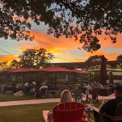 Adega Vinho Winery by null