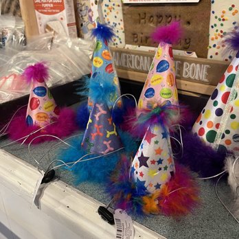 Raining Cats & Dogs - Birthday hats - Pet Stores Near Me - Mystic, Connecticut Raining Cats & Dogs - Birthday hats - Pet Stores Near Me - Mystic, Connecticut