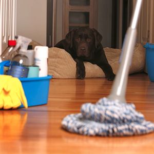 Erica’s Cleaning Services on Yelp