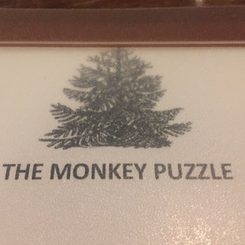 The Monkey Puzzle - Pubs Near Me - London, XGL The Monkey Puzzle - Pubs Near Me - London, XGL
