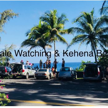 Kehena Beach Cottages - Whale watching across the street at the Kehena Beach parking lot - Vacation Rentals Near Me - Pahoa, Hawaii Kehena Beach Cottages - Whale watching across the street at the Kehena Beach parking lot - Vacation Rentals Near Me - Pahoa, Hawaii