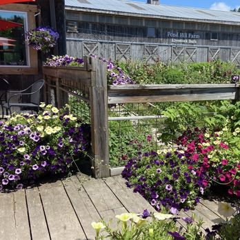 Pond Hill Farm - Patio with barn in background - Cafes Near Me - Harbor Springs, Michigan Pond Hill Farm - Patio with barn in background - Cafes Near Me - Harbor Springs, Michigan