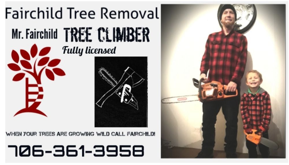 Fairchild Tree Removal - tree service in Lincolnton, GA