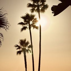 Balboa Peninsula Park