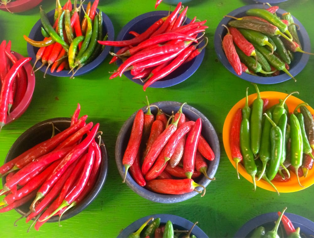 Mojica Family Produce Logo