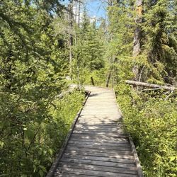 Lake Bemidji State Park
