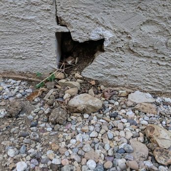 Old Reliable Pest Control - Rodent damage - Pest Control Near Me Old Reliable Pest Control - Rodent damage - Pest Control Near Me
