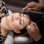 The Brow Snob