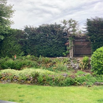 New Day Arborist - After - Tree Services Near Me - Ridgefield, Washington New Day Arborist - After - Tree Services Near Me - Ridgefield, Washington