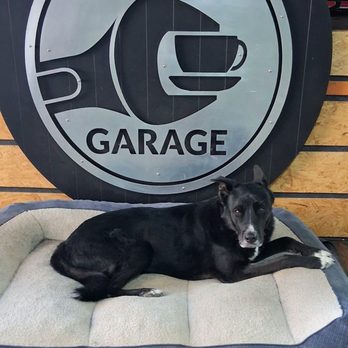 Java Garage - Stout - Coffee & Tea Near Me - Kansas City, Missouri
