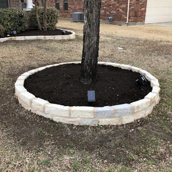 LR Landscaping - Tree (after) - Landscaping Near Me