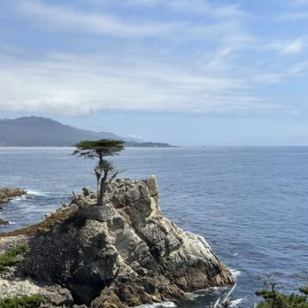 17-Mile Drive Scenic Tour - Stop 12: The Lone Cypress! - Local Flavor Near Me 17-Mile Drive Scenic Tour - Stop 12: The Lone Cypress! - Local Flavor Near Me